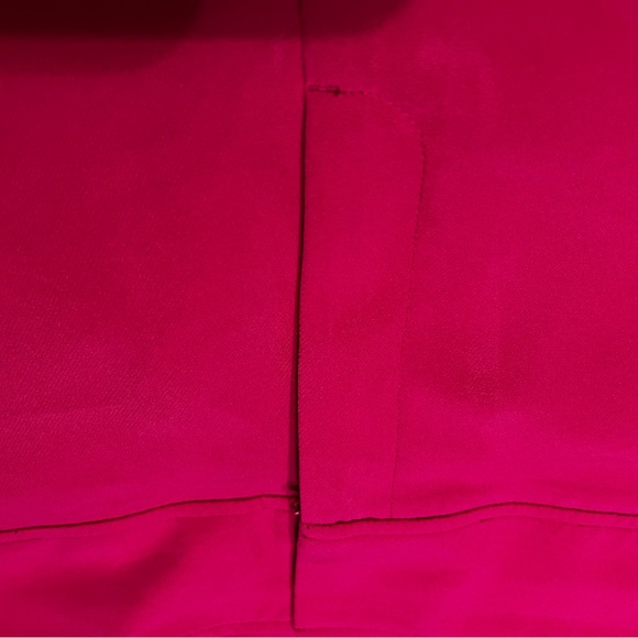 Lane Bryant Allie alacks, great shape, worn a few times. Size 24 tailored. - Picture 4 of 5